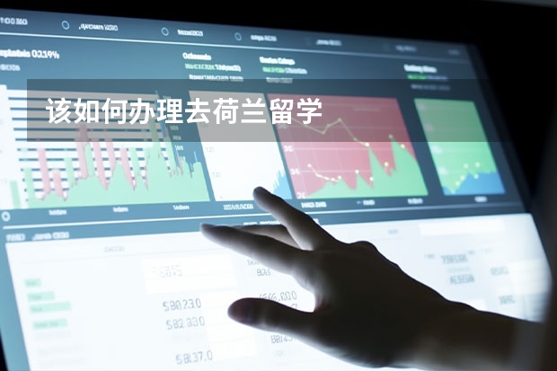 该如何办理去荷兰留学