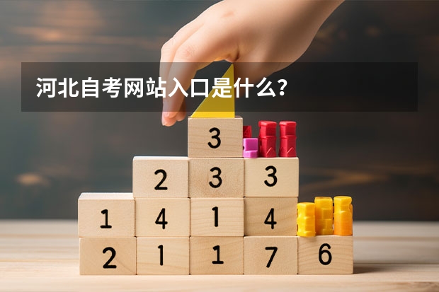河北自考网站入口是什么？