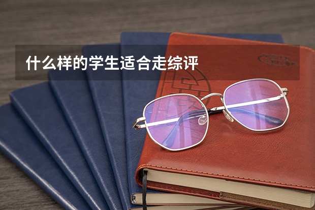 什么样的学生适合走综评