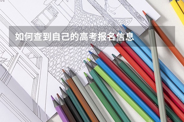 如何查到自己的高考报名信息