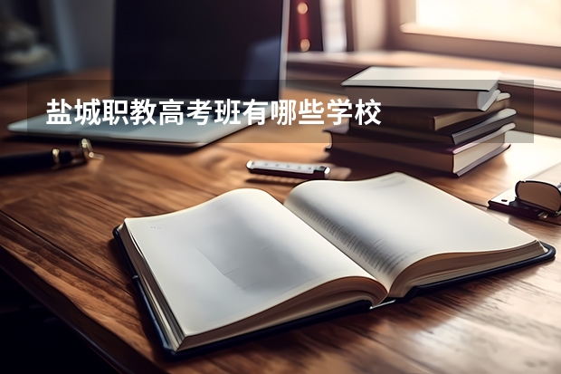 盐城职教高考班有哪些学校