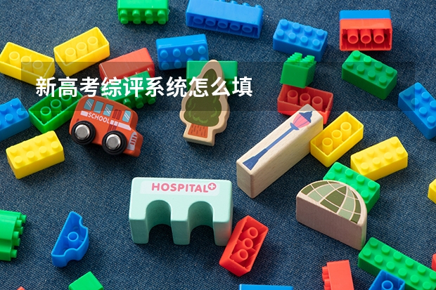 新高考综评系统怎么填