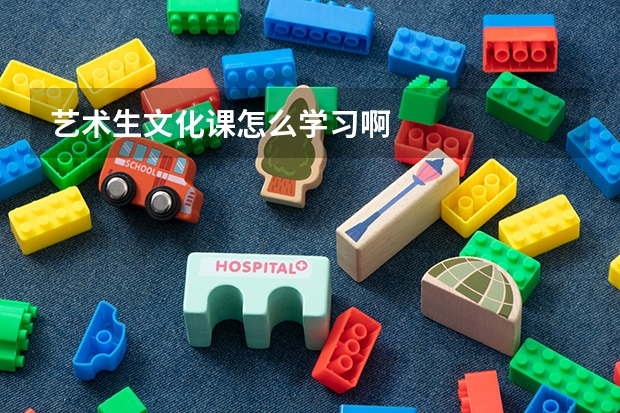 艺术生文化课怎么学习啊