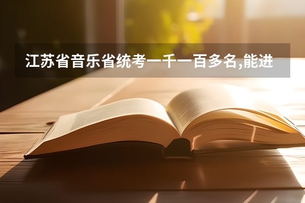 江苏省音乐省统考一千一百多名,能进什么学校？