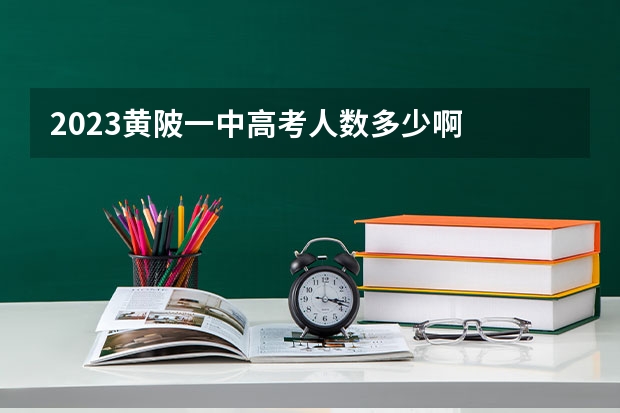 2023黄陂一中高考人数多少啊