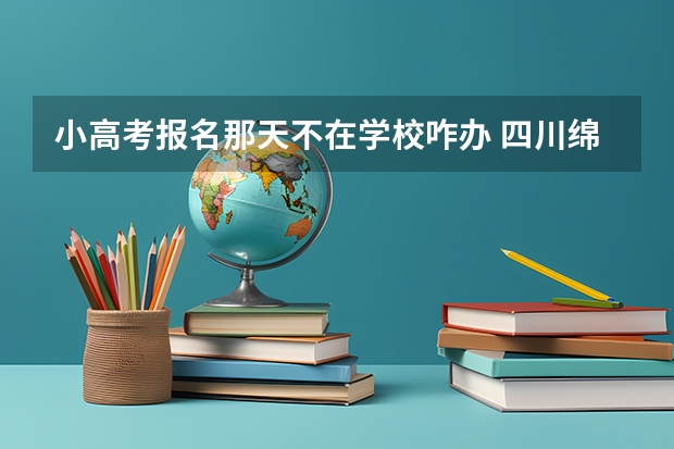 小高考报名那天不在学校咋办 四川绵阳高考报名缴费系统流程