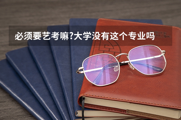 必须要艺考嘛?大学没有这个专业吗