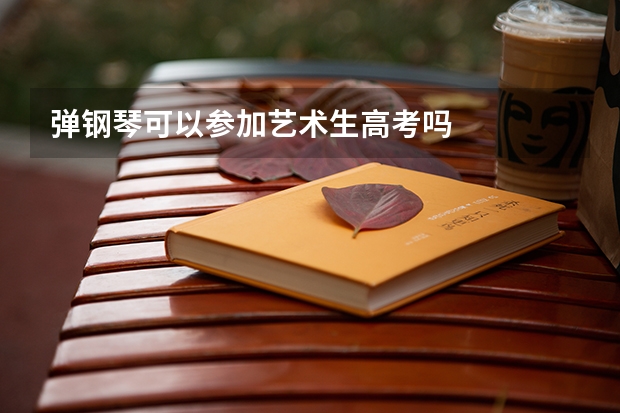 弹钢琴可以参加艺术生高考吗