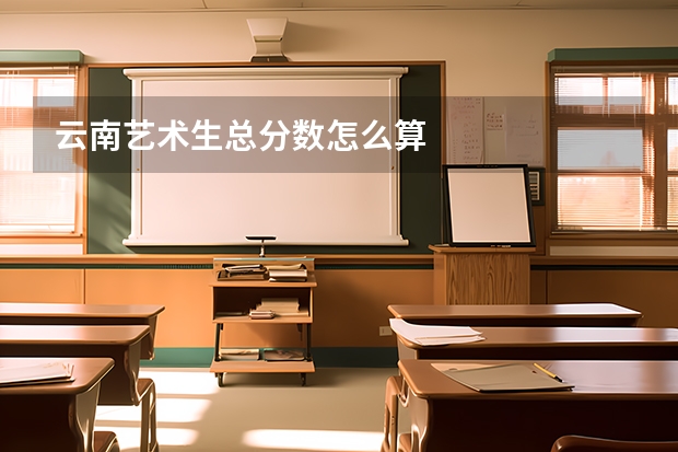 云南艺术生总分数怎么算
