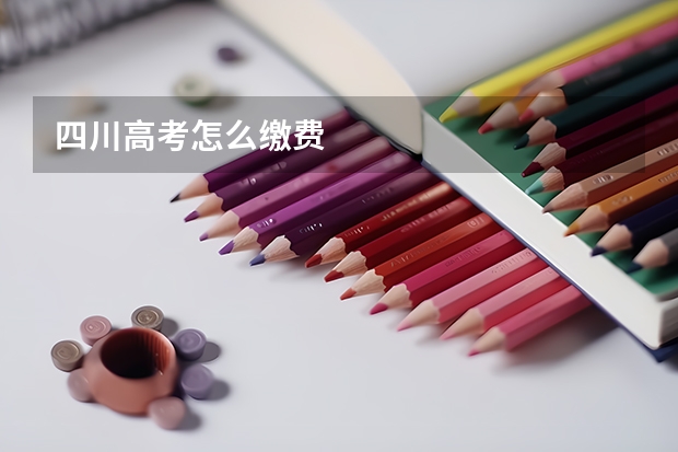 四川高考怎么缴费