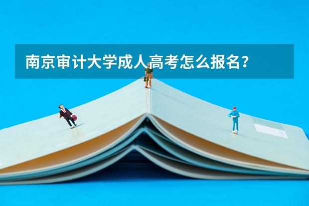 南京审计大学成人高考怎么报名？