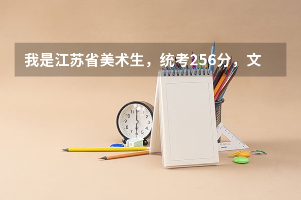 我是江苏省美术生，统考256分，文化一般240左右，能上什么大学啊