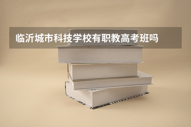 临沂城市科技学校有职教高考班吗