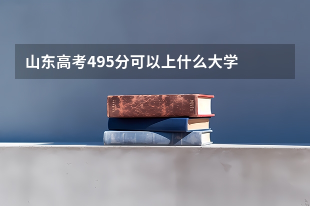 山东高考495分可以上什么大学