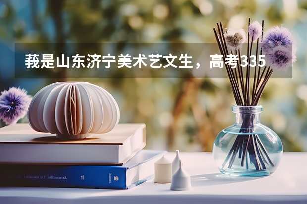 莪是山东济宁美术艺文生，高考335分，美术联考228、33分，莪可以报考什么样的学校？