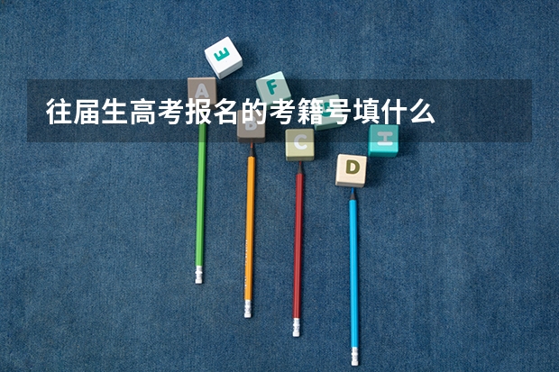 往届生高考报名的考籍号填什么