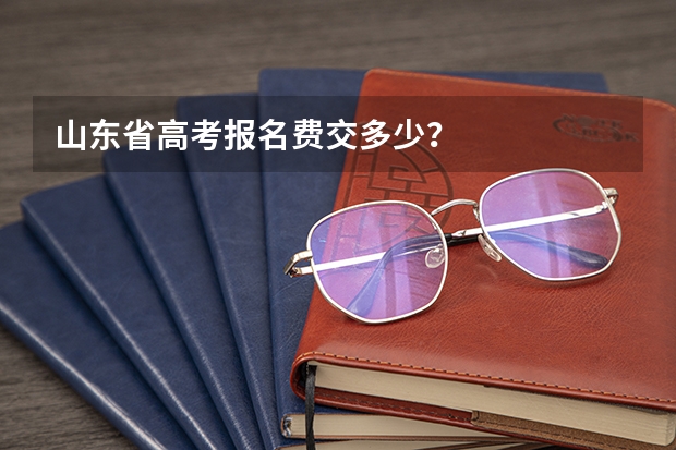 山东省高考报名费交多少？