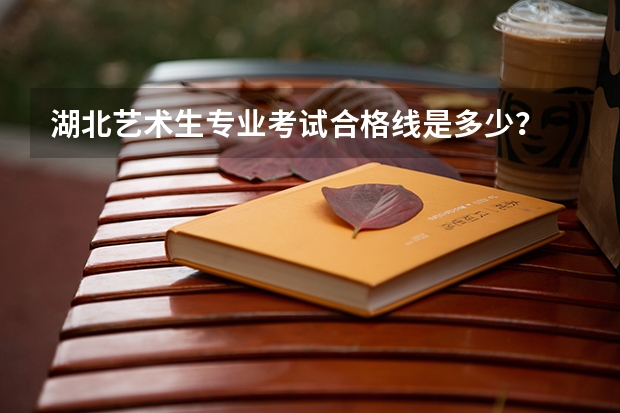 湖北艺术生专业考试合格线是多少?
