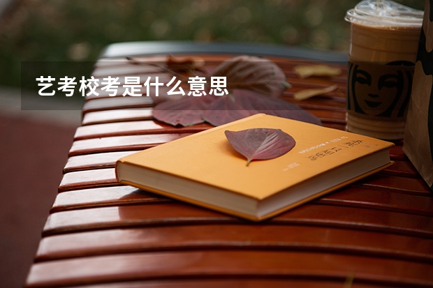 艺考校考是什么意思