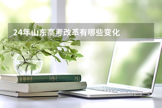 24年山东高考改革有哪些变化