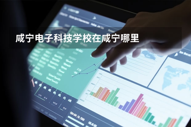 咸宁电子科技学校在咸宁哪里