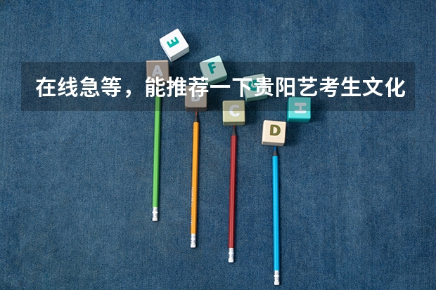 在线急等，能推荐一下贵阳艺考生文化课集训哪家好吗？我报考艺考文科的，但是地理特别差