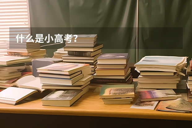 什么是小高考？