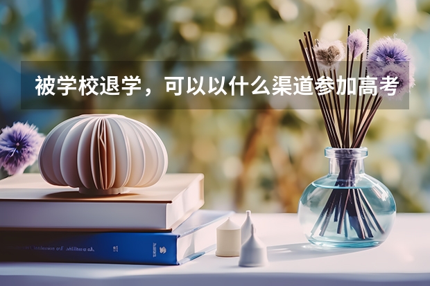被学校退学，可以以什么渠道参加高考？