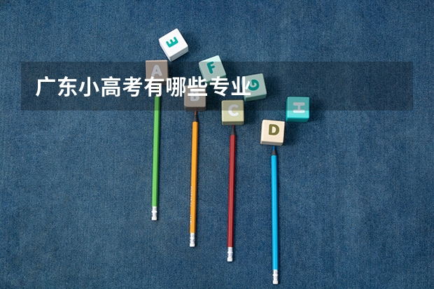 广东小高考有哪些专业