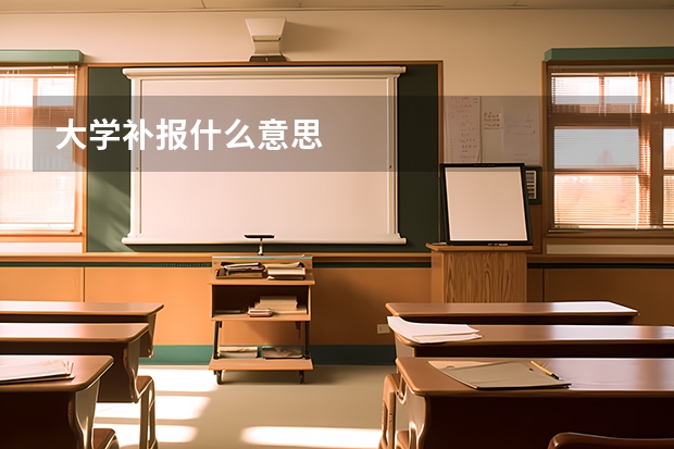 大学补报什么意思