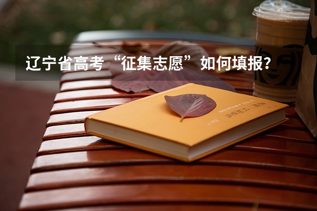 辽宁省高考“征集志愿”如何填报？