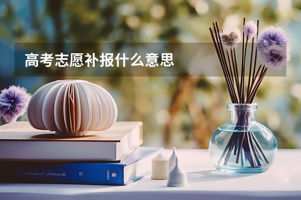 高考志愿补报什么意思