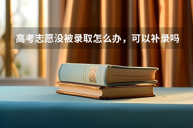 高考志愿没被录取怎么办，可以补录吗？