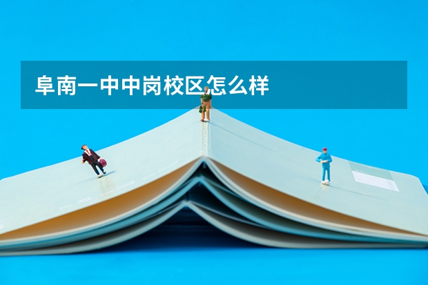 阜南一中中岗校区怎么样